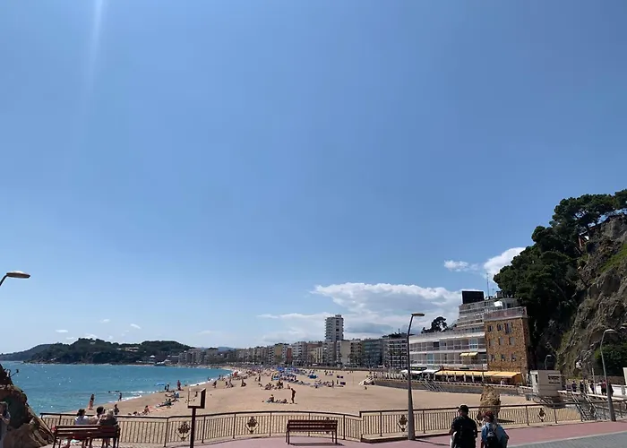 Oliva Mar